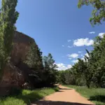 Dirt path with green grass on the sides and blue sky above
