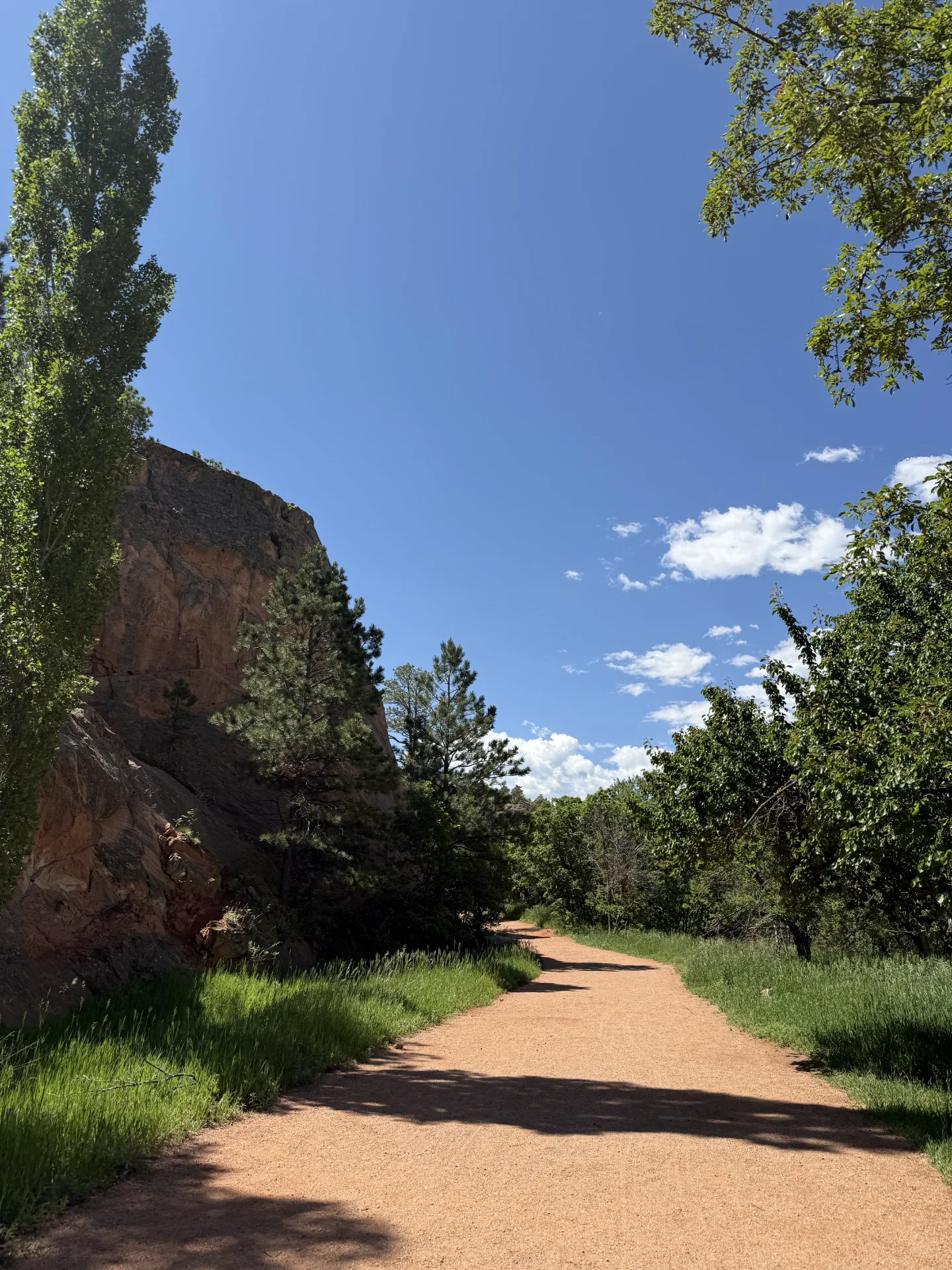 Dirt path with green grass on the sides and blue sky above